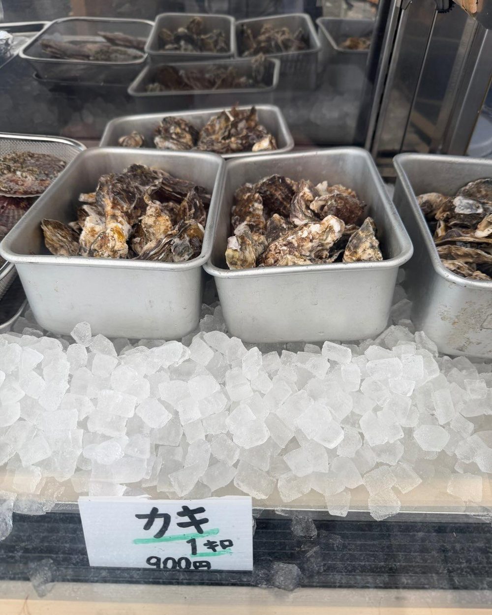 氷の上に並ぶ殻付きの生牡蠣