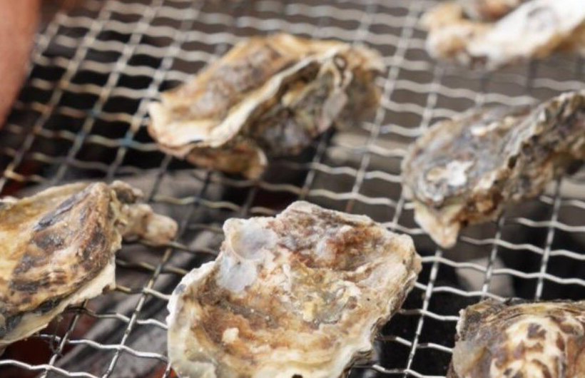 網の上でじっくり焼かれる牡蠣